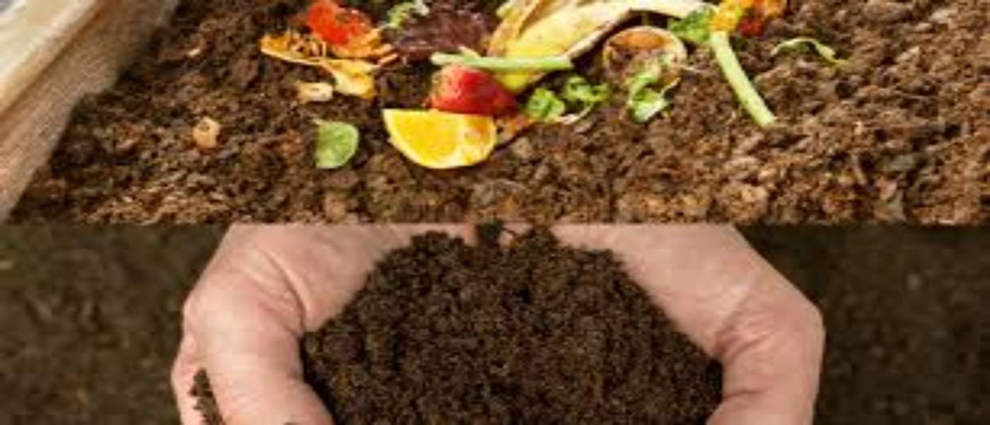 Compost