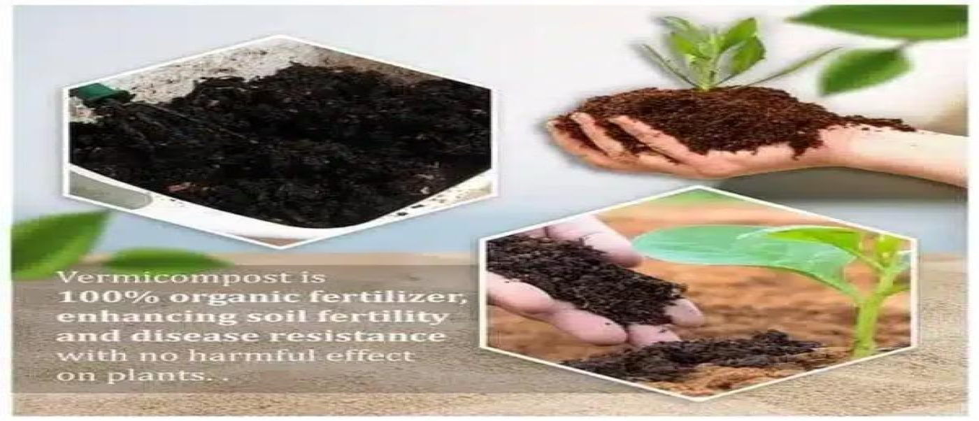Compost